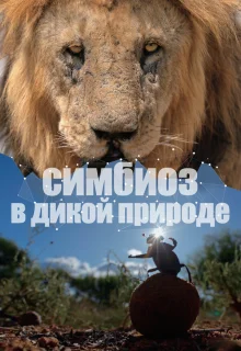 Симбиоз в дикой природе
