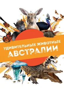 Удивительные животные Австралии 